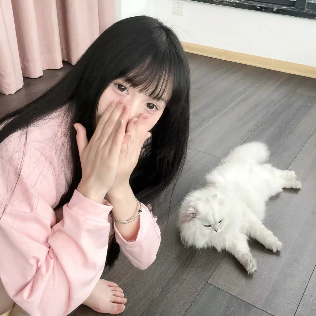 情深不负独念语